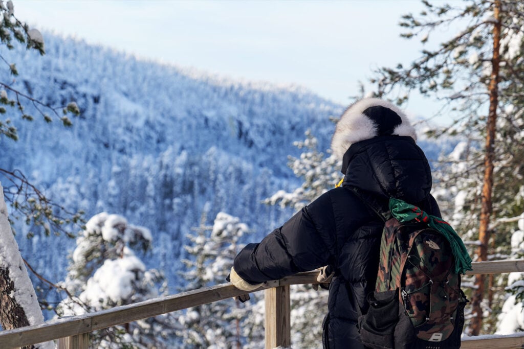 A Winter Day Trip from Rovaniemi to Korouoma’s Frozen Waterfalls