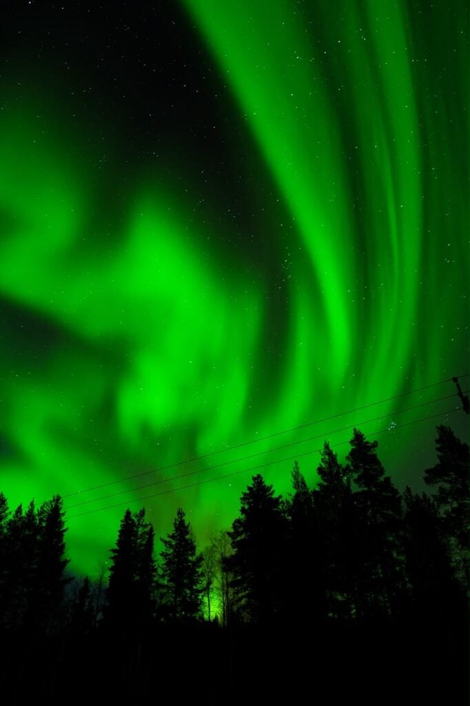 Aurora Safari (Guaranteed)