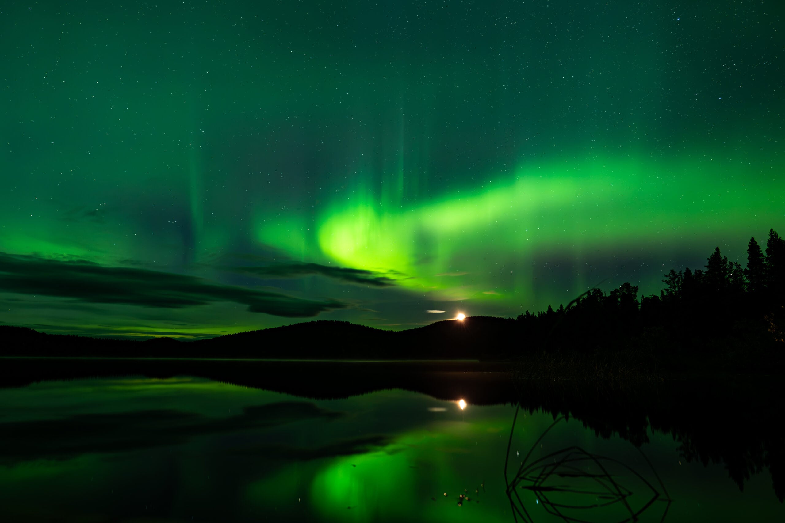 Astrophotographer private aurora tour Rovaniemi night