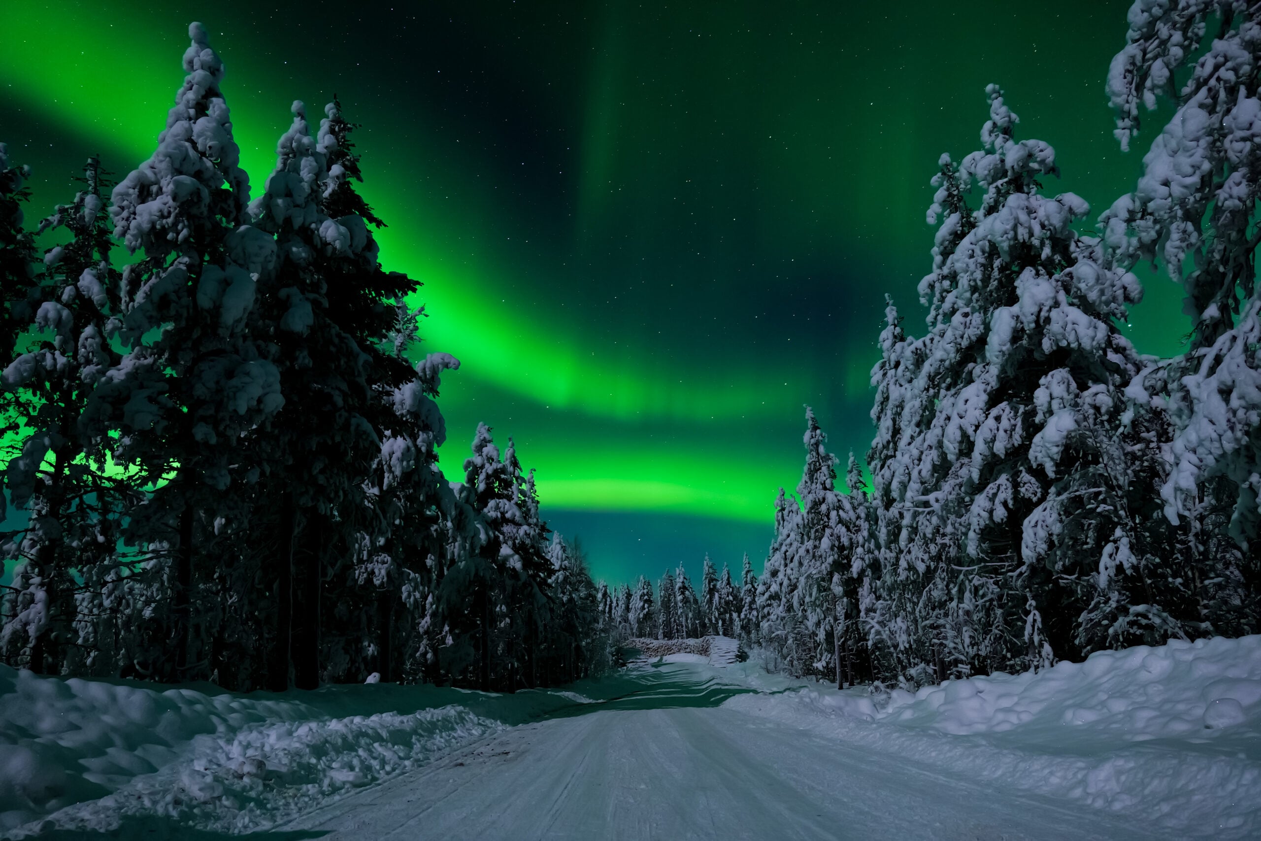Small group aurora hunting tour in Rovaniemi by Flow Lapland