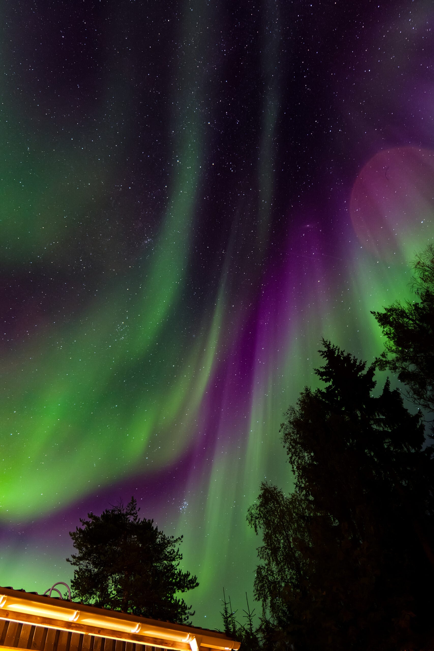 Aurora hunting families lapland best places