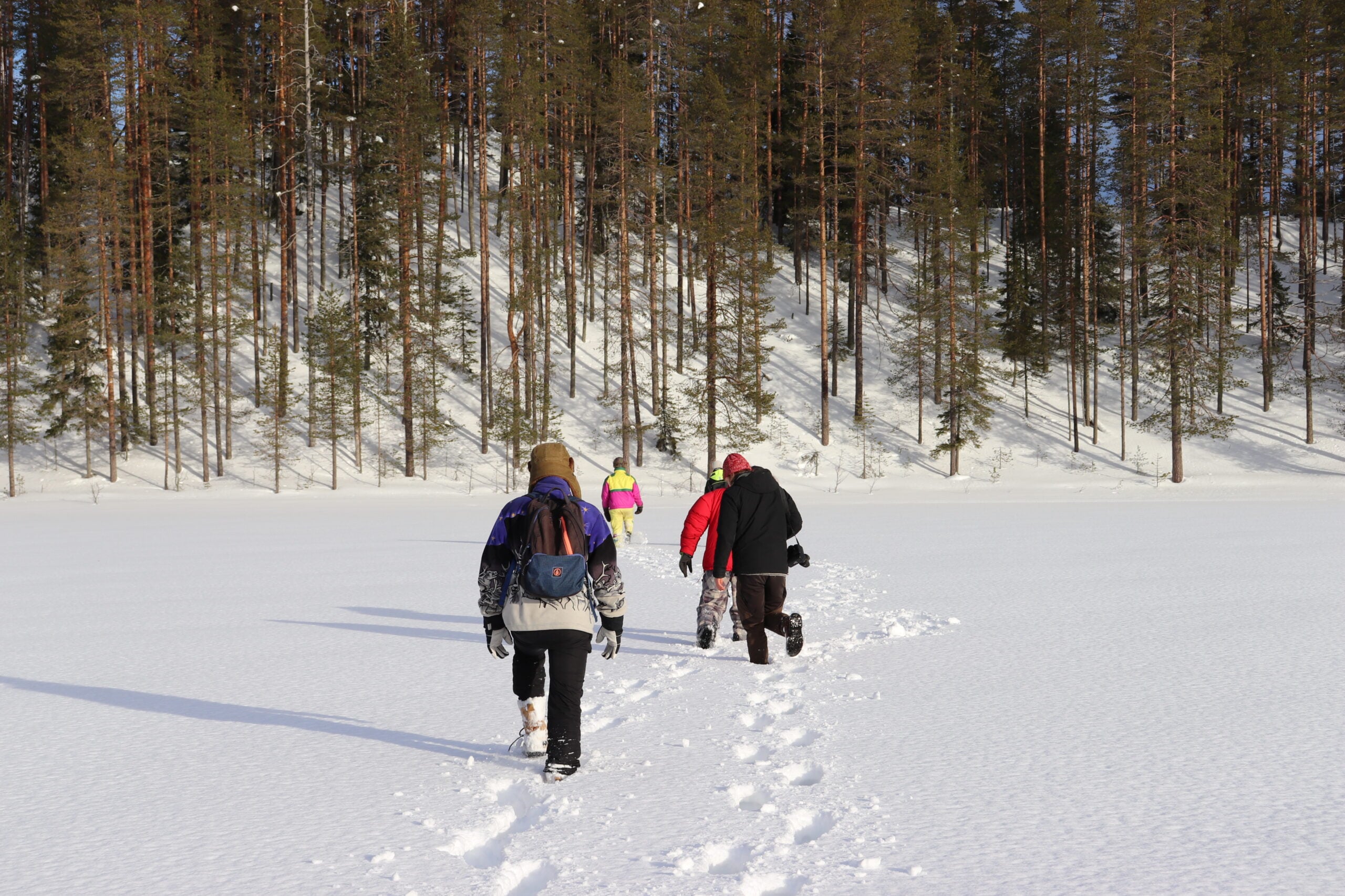 Snowshoeing and winter hiking at Korouoma canyon with local guide