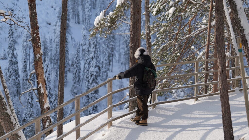 Planning a trip to Lapland in winter 2026 / 2027?